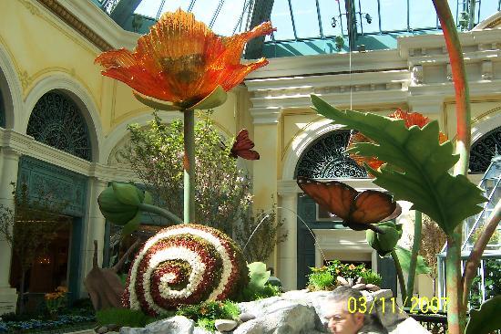 Jardin botanique du Bellagio